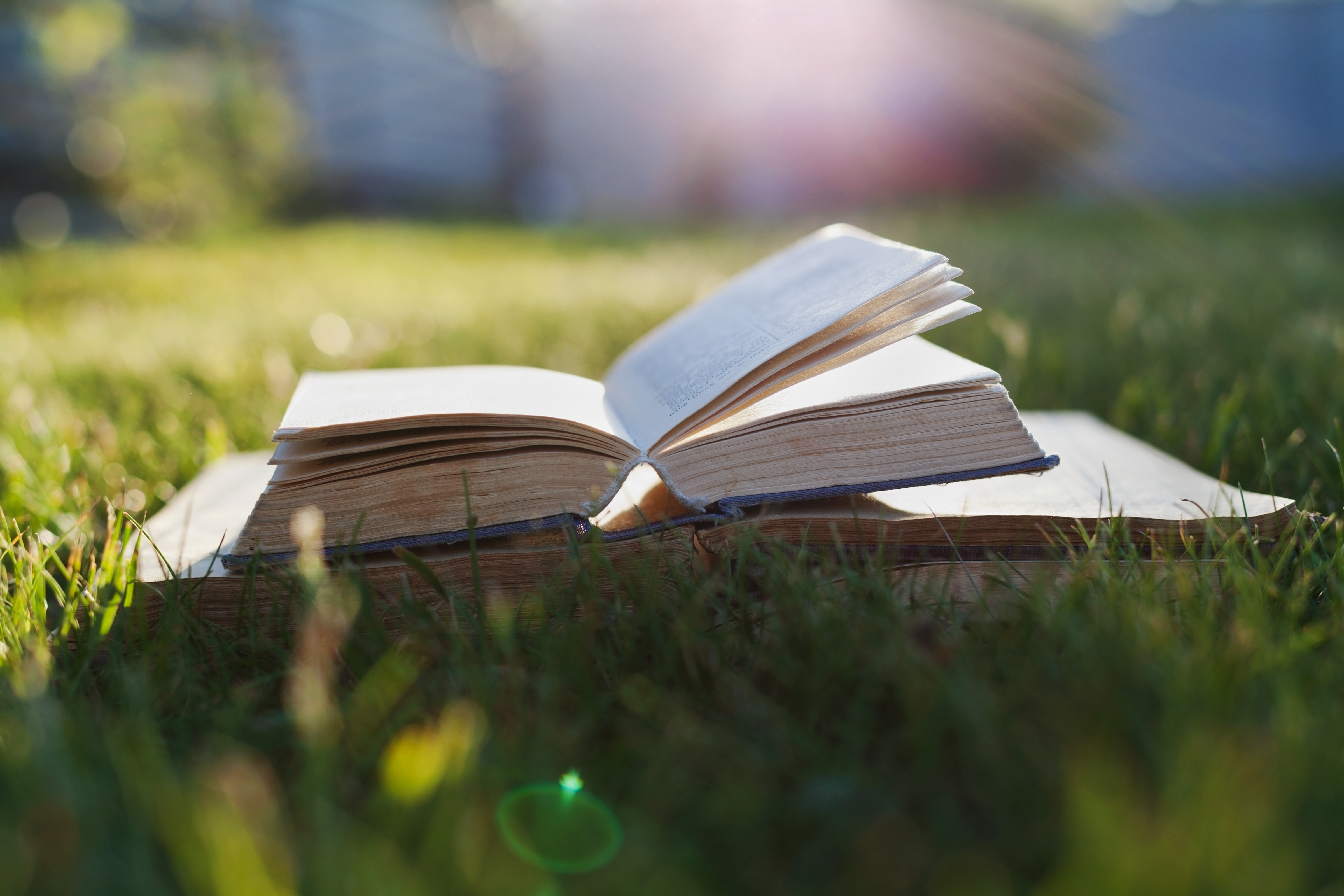 Open book on a green grass against beautiful sunset lights with sun ray, selective focus and shallow dof