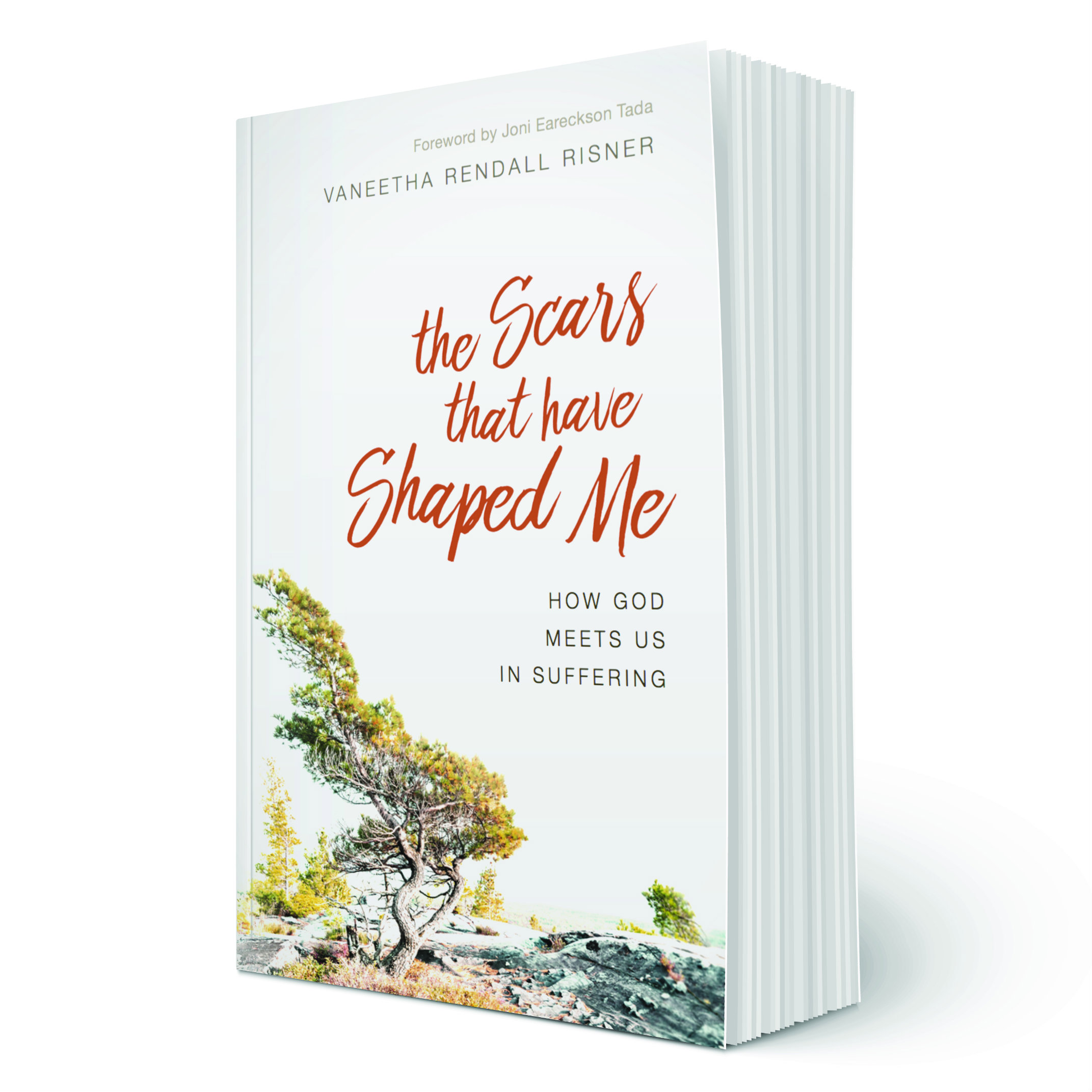 The Scares That Have Shaped Me Book Cover