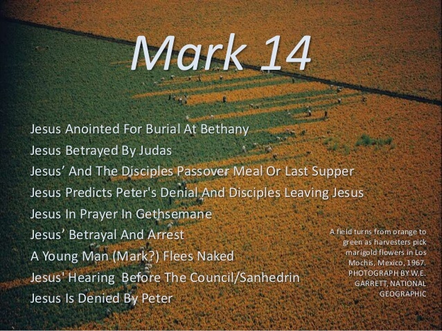 mark-14