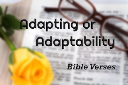 top-7-bible-verses-on-adapting-or-adaptability