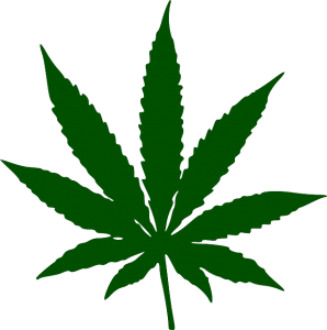 marijuana-34353_640