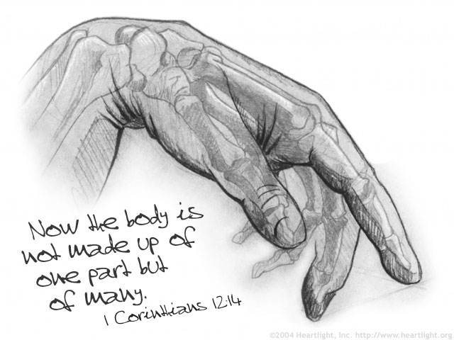 Illustration of 1 Corinthians 12:14