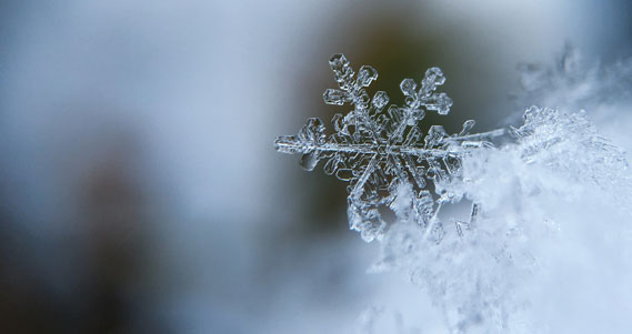micro-snowflake-large