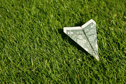 dollar-plane-grass
