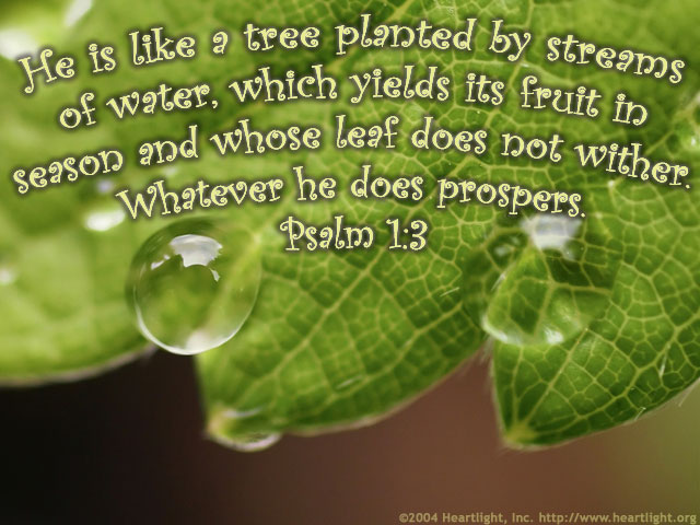Illustration of Psalm 1:3