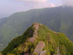 Chimney Tops, Great Smoky Mountain National Park. Brian Stansberry, Wikimedia Commons. This file is licensed under the Creative Commons Attribution-Share Alike 3.0 Unported license.