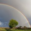 Rainbows In The Sky: Jesus In Genesis