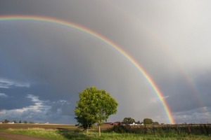 Rainbows In The Sky: Jesus In Genesis