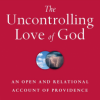 An Open and Relational God?