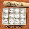 Minor League by ApologetiX