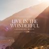 Live in the Wonderful – Single by Lakewood Music