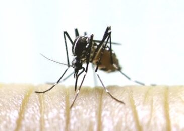 Zika bill stalled over Planned Parenthood funding