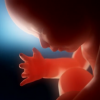 161 Babies Saved From Abortion as Abortions in Indiana Drop 7 Years in a Row