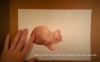 Amazing Pro-Life Video Reminds Us “A Person’s a Person No Matter How Small”