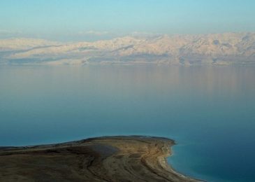 Bible prophecy being fulfilled: Dead Sea coming back to life; fish seen swimming on the shores