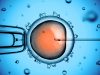 Human-animal embryo research likened to sci-fi