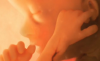 Abortion Advocates Oppose New Texas Rule Allowing Proper Burial for Babies Victimized by Abortion