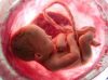 Aborted Babies’ Chests Were Cut Open in Grisly Experiments While Their Hearts Were Beating