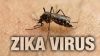 Planned Parenthood Exploits Zika Virus Fears in Miami, Florida to Push Its Abortion Agenda