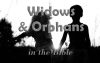 What Does the Bible Say About Widows and Orphans?
