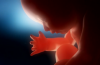 Abortion Abortions Decline as 245 Babies Saved From Abortion Last Year