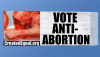 Pro-Life Banner Will Fly Over World Series Game Urging People to “Vote Anti-Abortion”