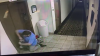 Dog’s Leash Gets Stuck In Hotel Elevator As It Goes Up; Manager Saves Him With Seconds To Spare