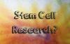 How Do Christians View Stem Cell Research?