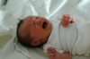 South Carolina Custodians Find Newborn Boy Crying in Trash Bag, Mother Charged