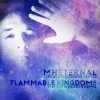 Flammable Kingdoms (Matthew Parker Remix) – Single by MHEternal