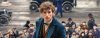 Box office: Fantastic Beasts underperforms Harry Potter in North America but outperforms it elsewhere