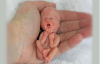 Planned Parenthood Refuses to Acknowledge That When a Miscarriage Happens a Baby Dies