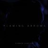 Flaming Arrows Single by Carmen Justice