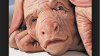 Scientists Create Human-Pig Hybrids for Organ Transplants That Could Develop Into “Monsters”