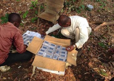 Pygmy in Congo Receive Their Own Audio Bibles