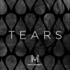 Tears – Single by Matt Hammitt