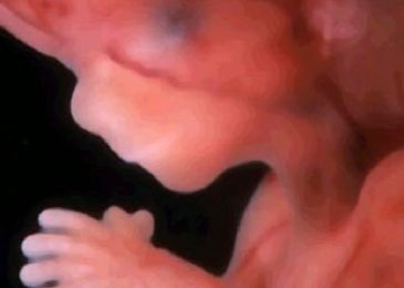 Woman Defends Aborting Two Babies: “I Talked to the Babies and I Felt the Babies Understood”