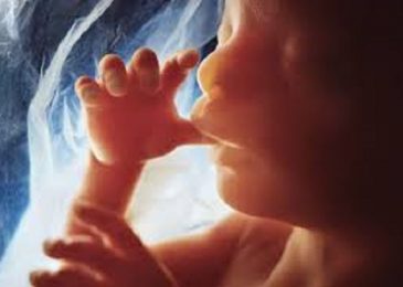 Scientists Given Green Light to Edit the DNA of Unborn Babies