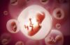 Made to Order Humans? Scientists Clam to Have Created “Artificial” Embryos